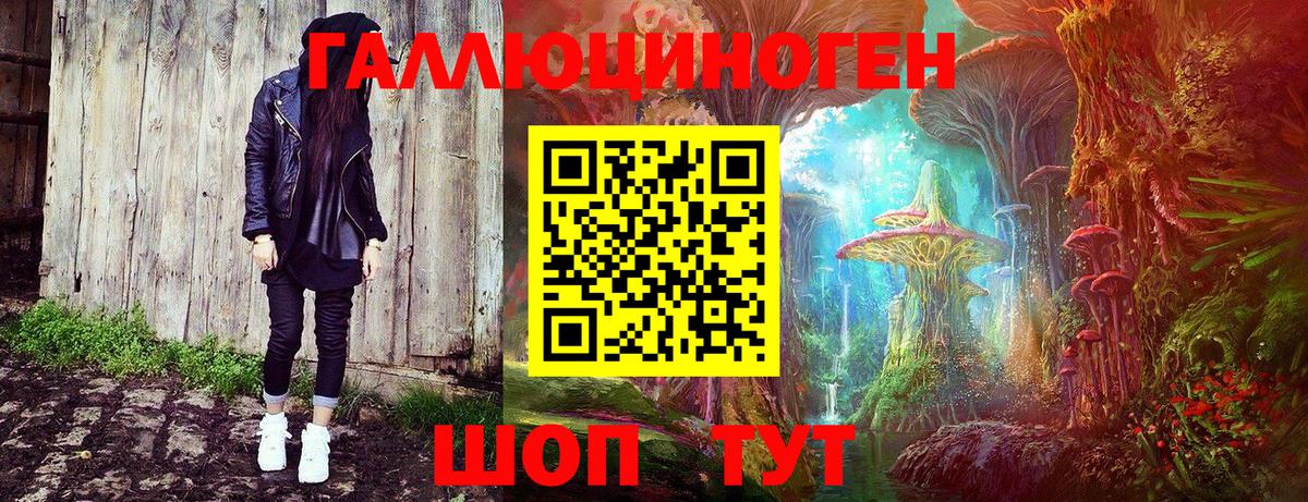 Богородицк  Галлюциногенные грибы прущие грибы  Вход с VPN 